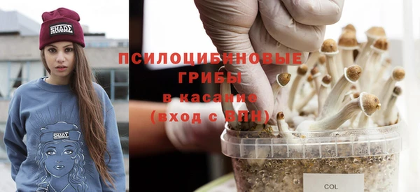 гидропоника Алексеевка
