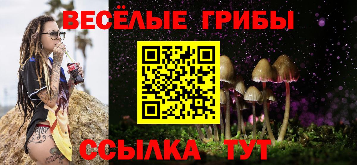 Галлюциногенные грибы MAGIC MUSHROOMS  Вход с VPN  Аргун  Галлюциногенные грибы GOLDEN TEACHER 
